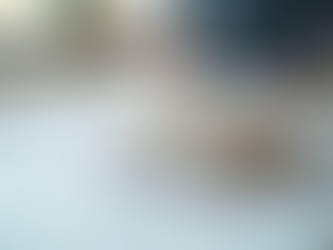 Innovative AI Solutions in Architecture and Engineering