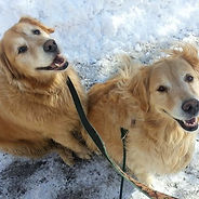 Dog walker in Brunswick ME