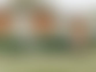 S.S.W.A.P Monthly Newsletter: October 2021 update