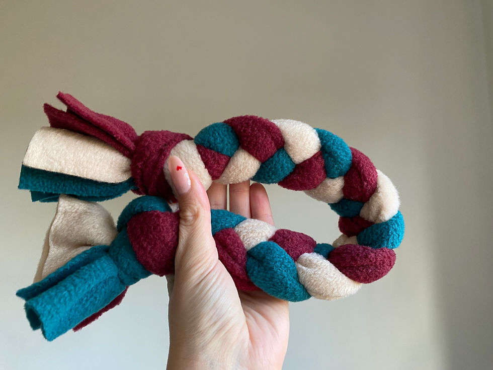 Tuggy - Dark red, teal & Beige