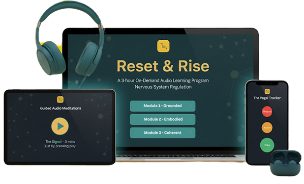 MAVA Reset & Rise Product Display_edited