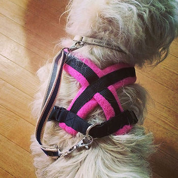 Dog Homestay FLUFFY DOG フリースラインドハーネス