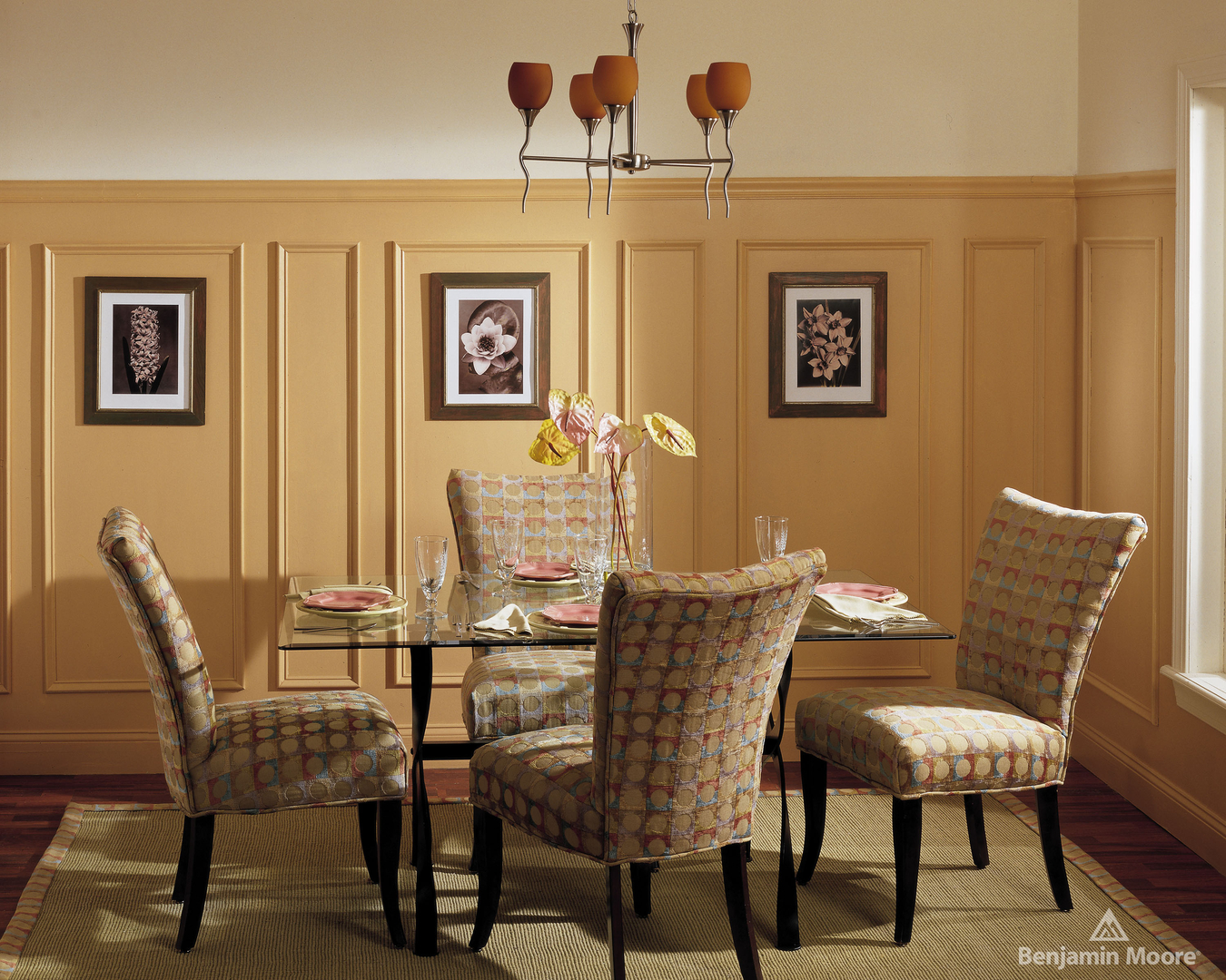 BENJAMIN MOORE PAINTSLOS ANGELESCATALINA PAINTS