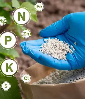 components-of-different-types-of-fertilizers.jpg.webp