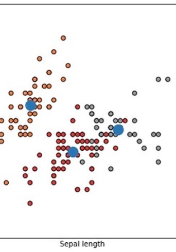 7AB8649A-CF97-407B-AEC9-EA00CE208D9D_4_5005_c.jpeg