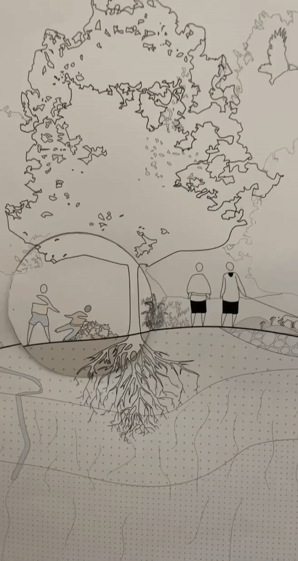 Life, Death, and Play