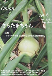 サラダたまねぎパンフレット(NO6)最終.jpg