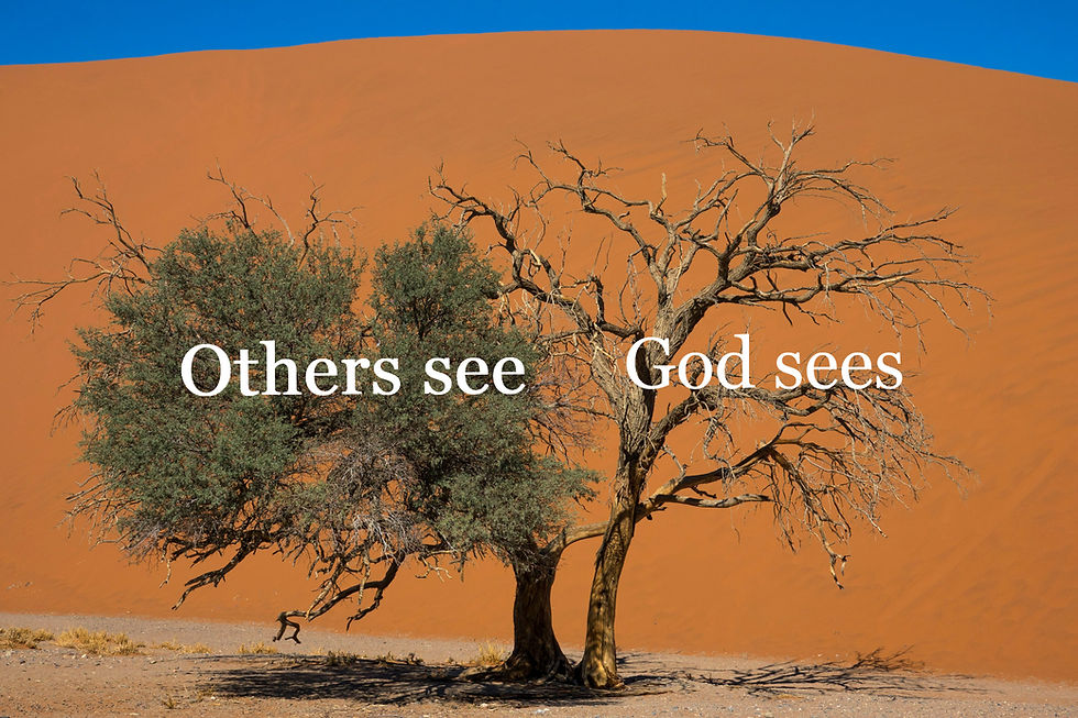 Possibly the scariest warning-Sardis