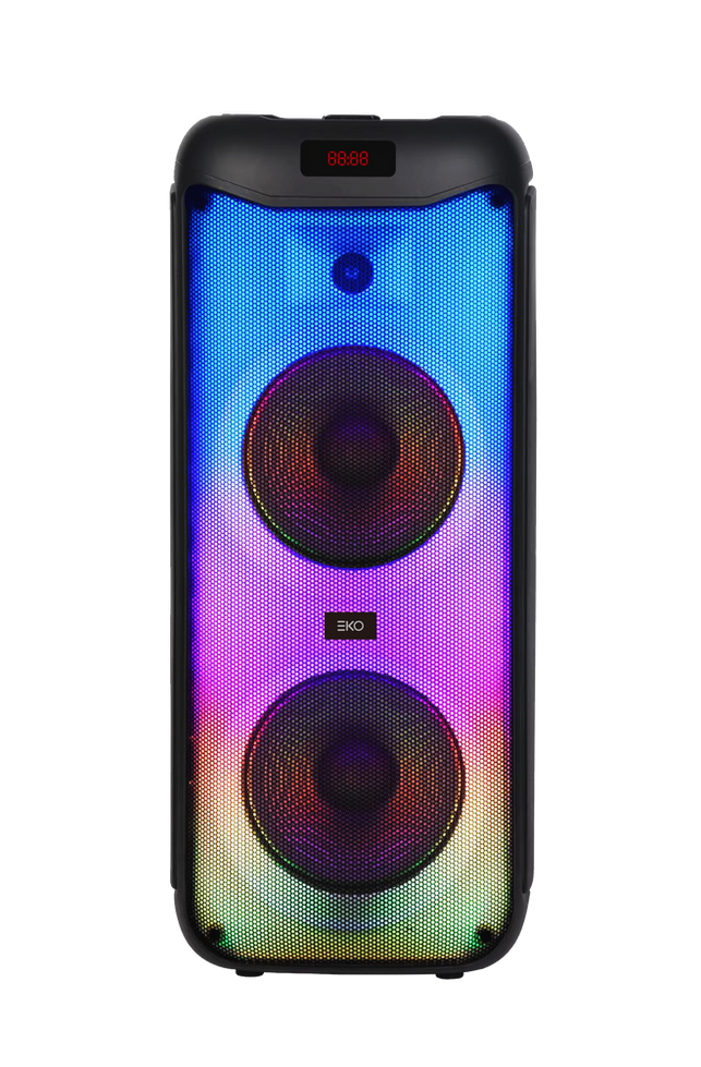 Bluetooth party speaker with dual microphone inputs