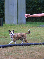 DSC_0013_edited.jpg