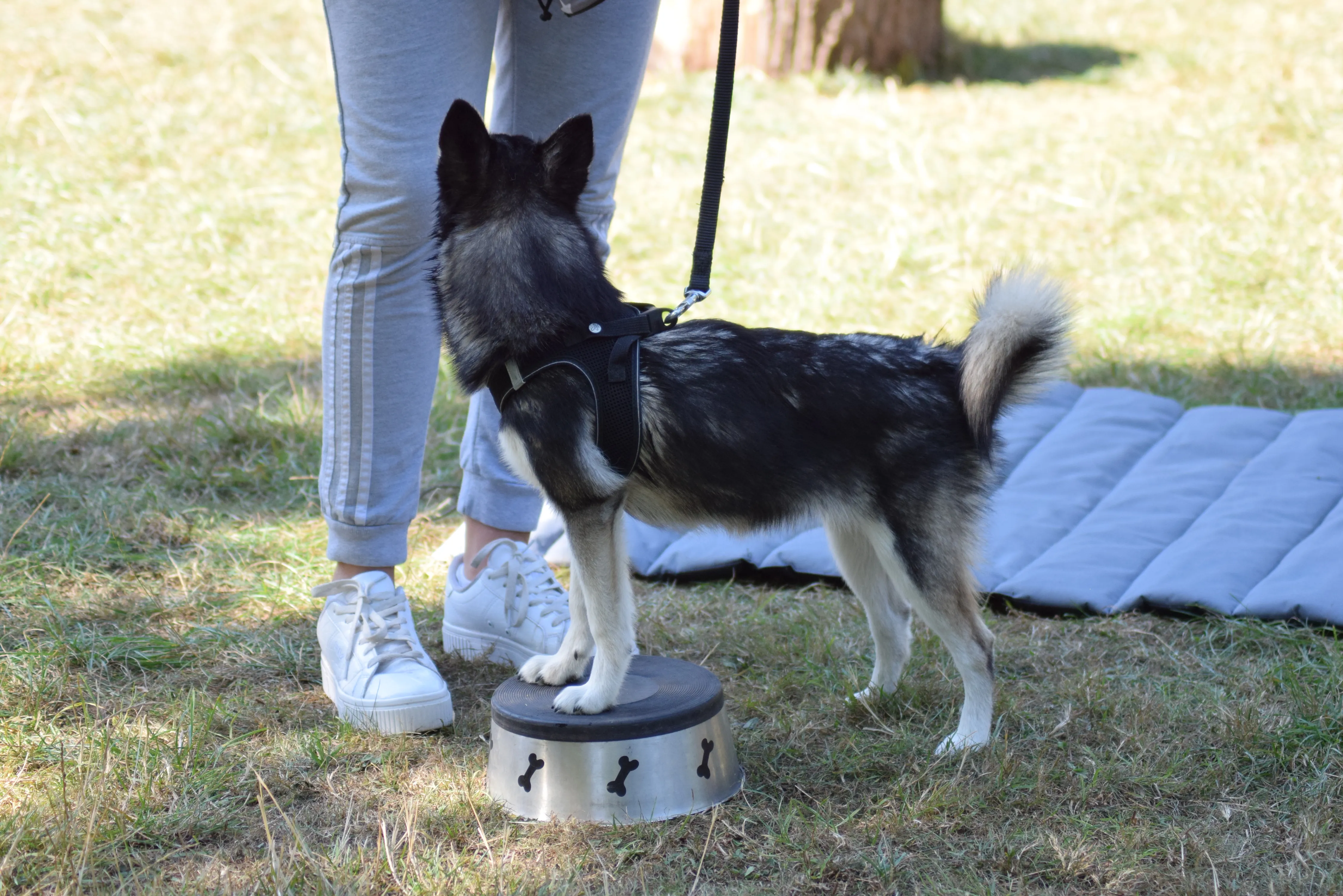 DSC_0852.JPG.webp