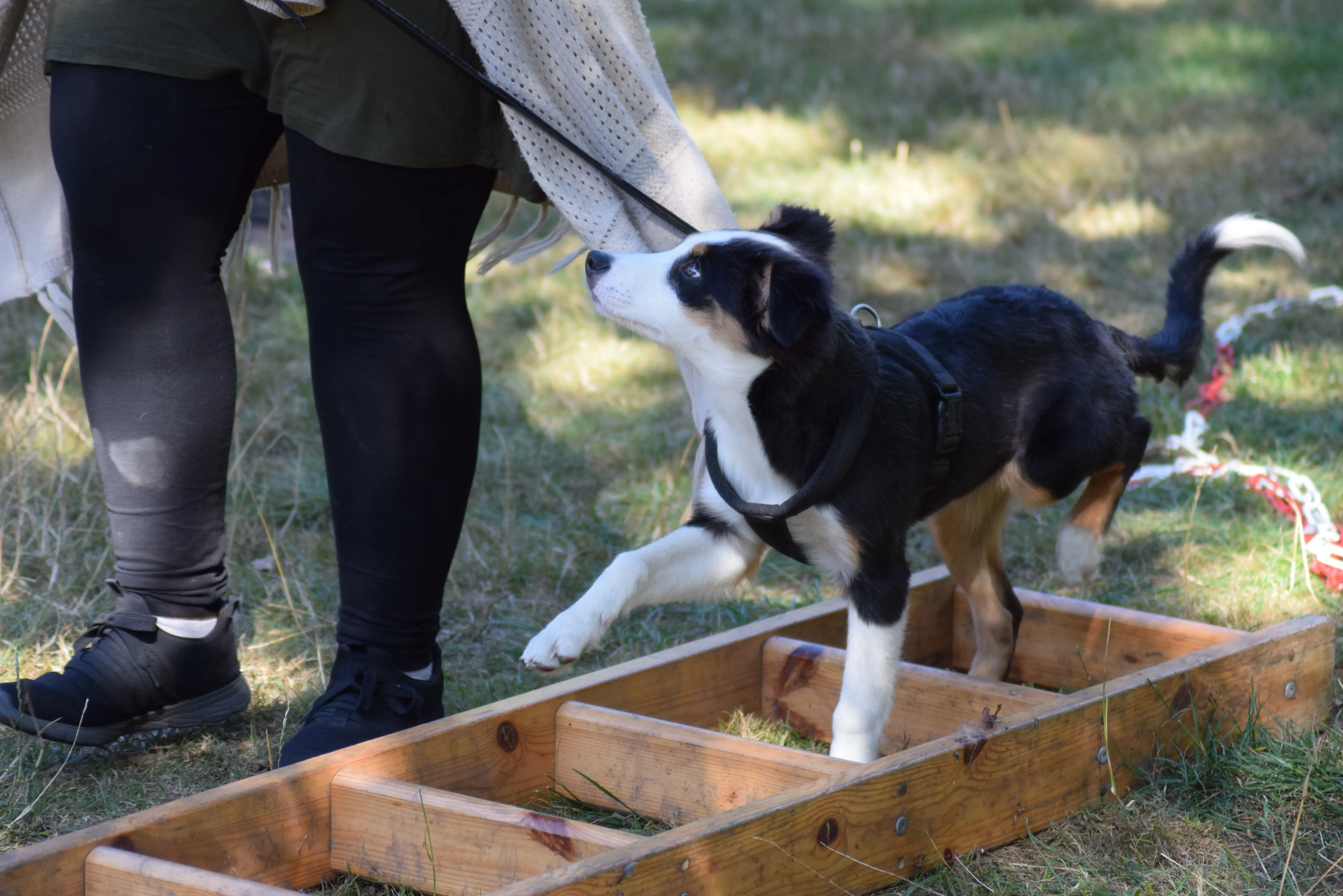 DSC_1035.JPG.webp