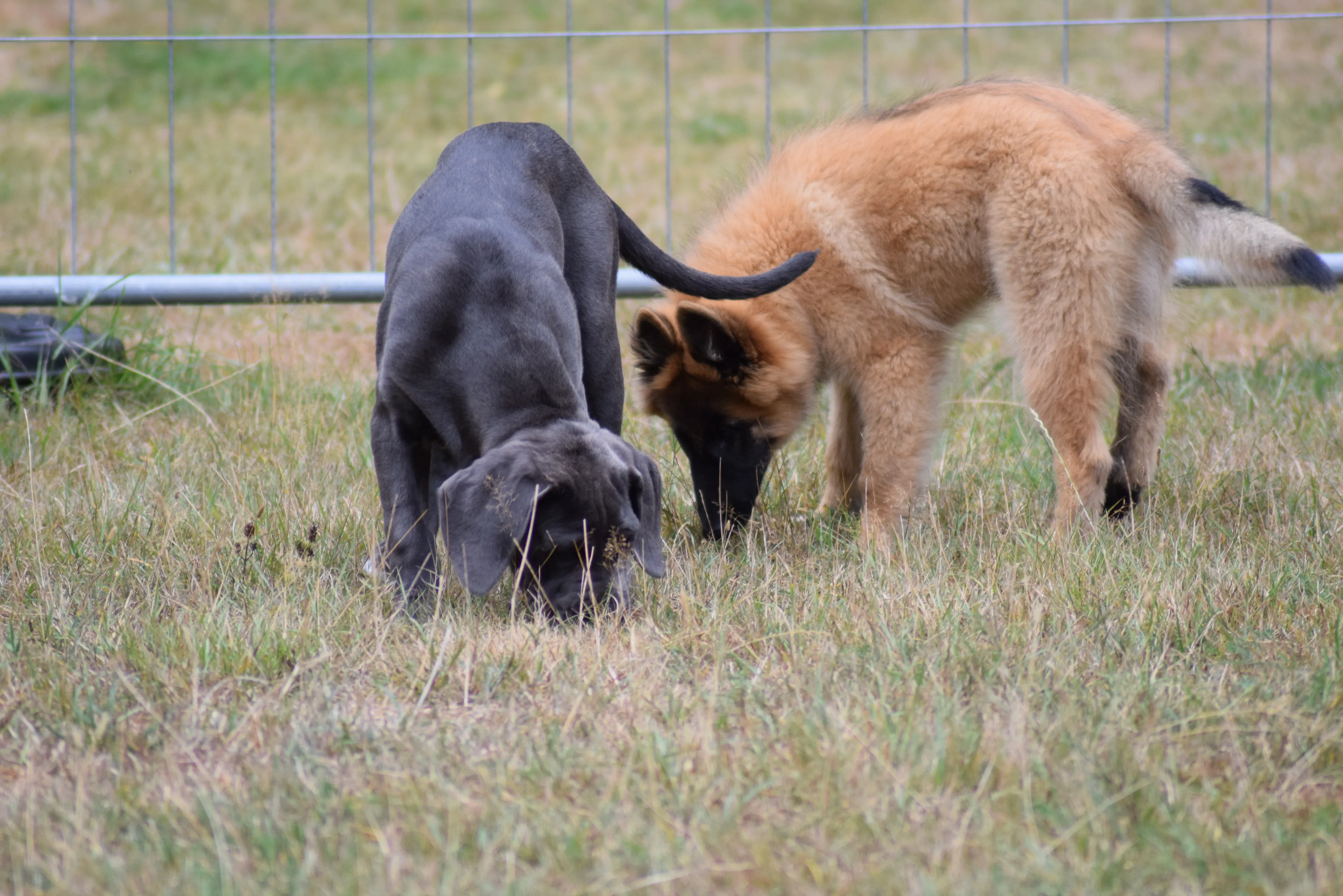 DSC_0617.JPG.webp