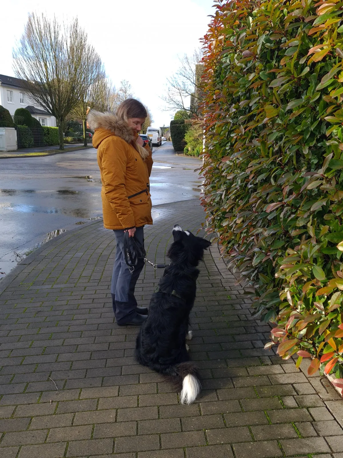 IMG-20221129-WA0045.jpg.webp