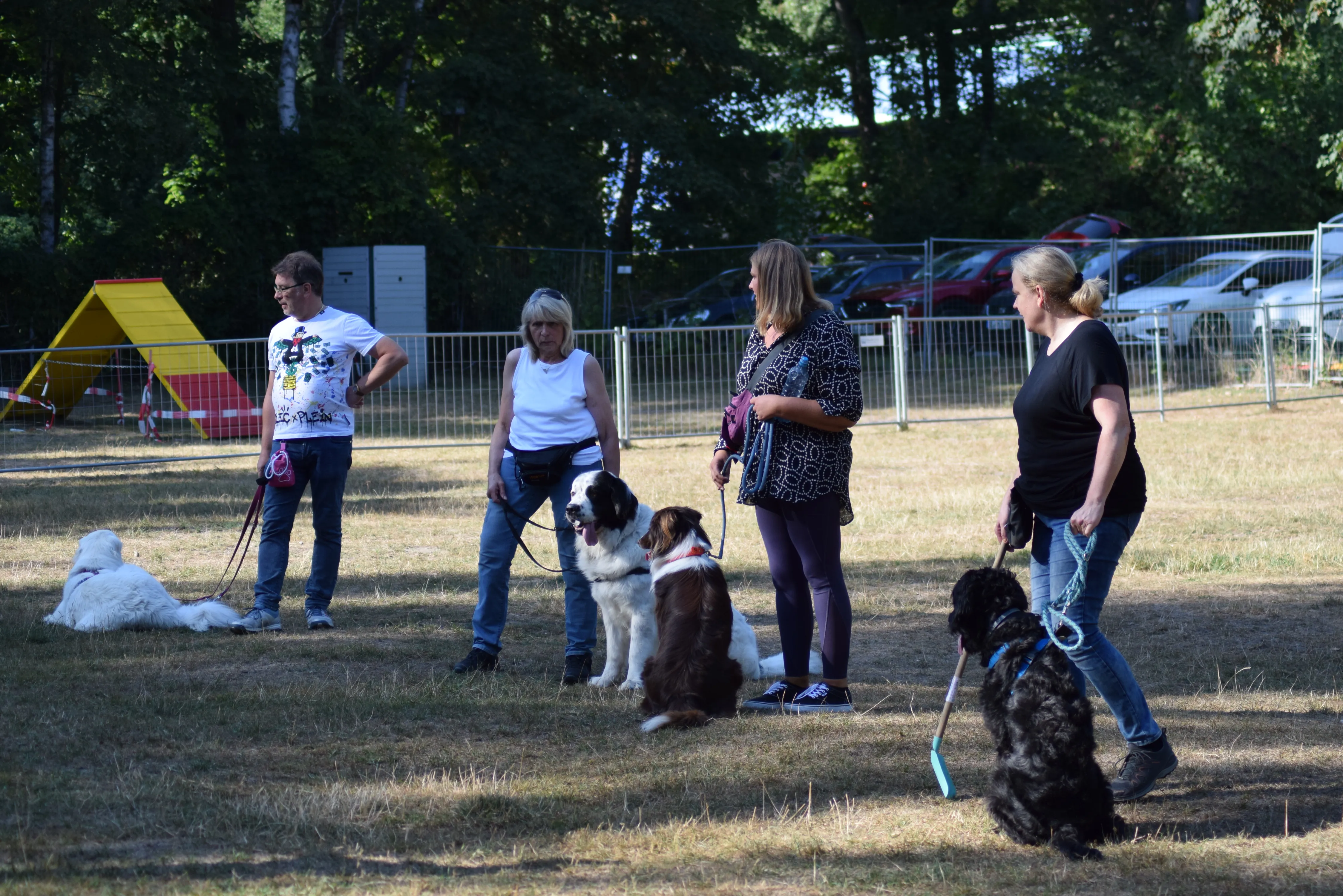 DSC_1296.JPG.webp