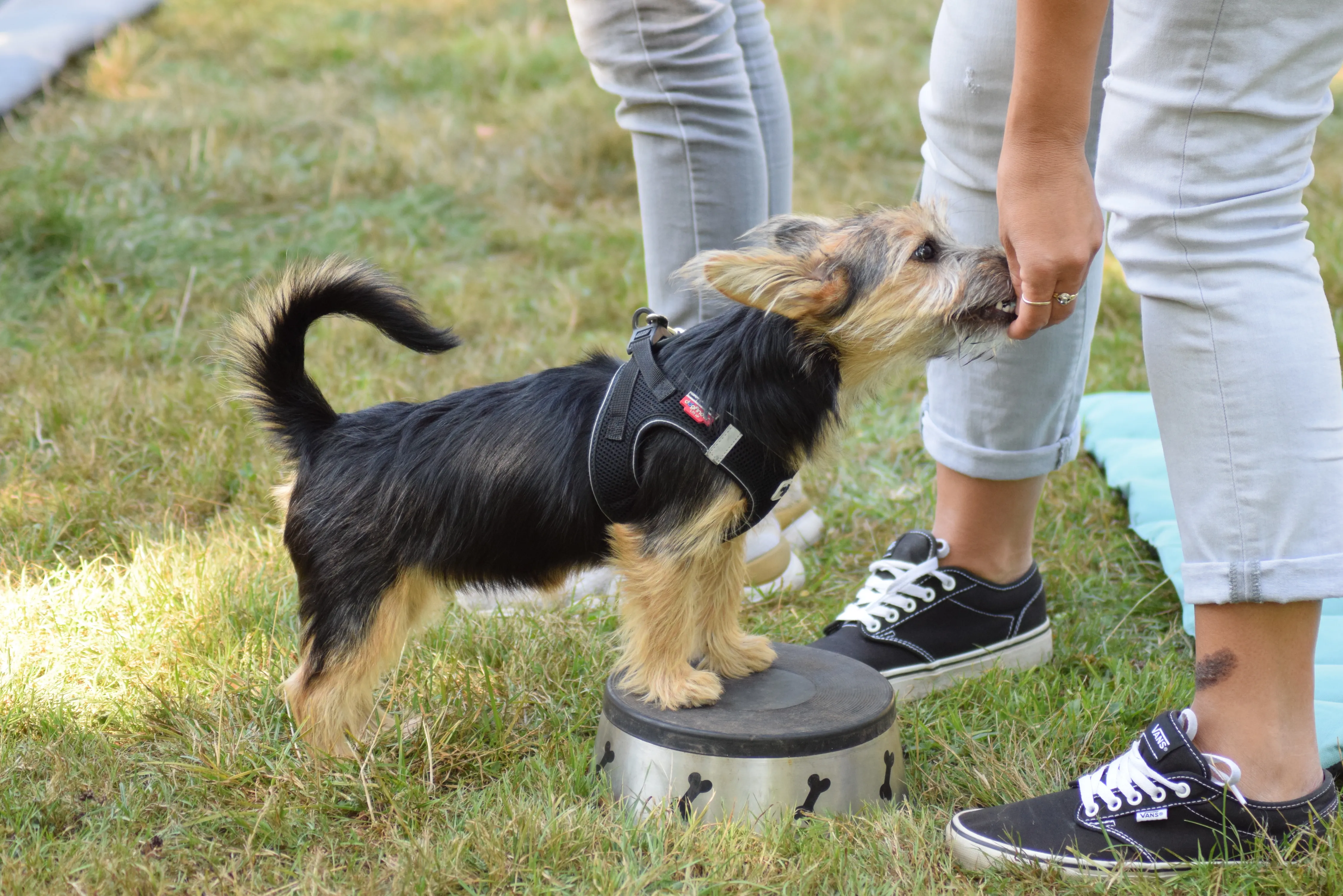 DSC_0872.JPG.webp