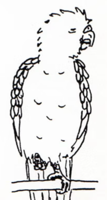 Captura de pantalla 2025-04-02 a la(s) 17.48.46.png