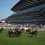 Miniaturbild: biglietto royal ascot accesso privilegiato