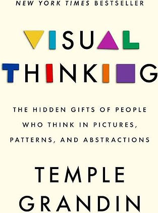 Visual Thinking.jpg