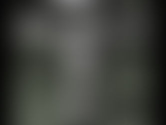 Upon Catching the Avian Flu