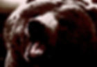 Bears! 2
