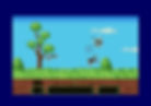 Duck Shoot