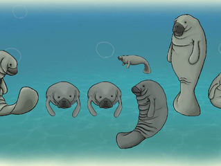 Google Doodle Manatees
