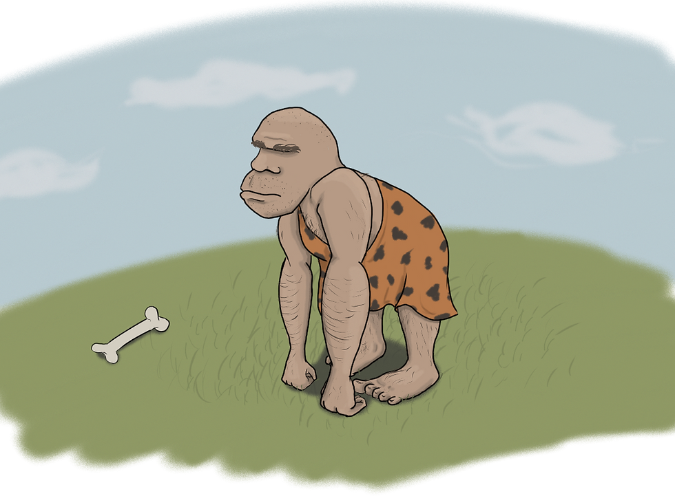 homoerectus