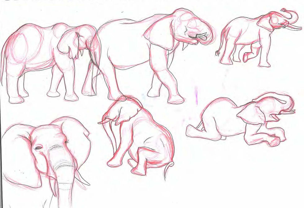 Elephants