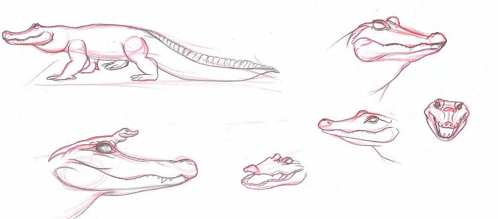 gators