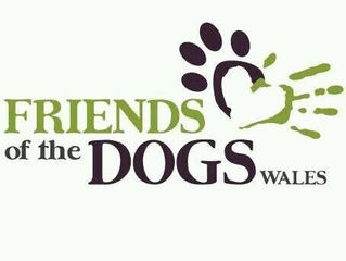 Friends of the Dogs (Charity Video)