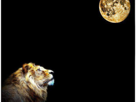 January 30th -31st 2018