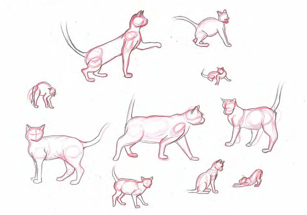 cats