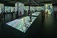 More projected images of paintings at Van Gogh exhibit
