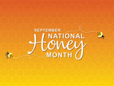 The Honeybee Swarm: Amazing Pollinator Population Growth