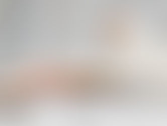 Things You Can Learn from Your Pets