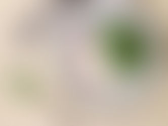 Spring Pea & Arugula Salad 