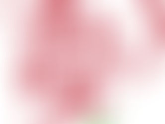 graphic says forgive me