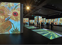 images of paintings at Van Gogh exhibit