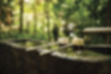 Japanese water feature