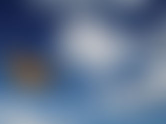 Monarch butterflies carried along by the wind