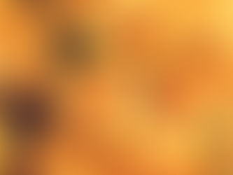 November flowers are chrysanthemums and peonies