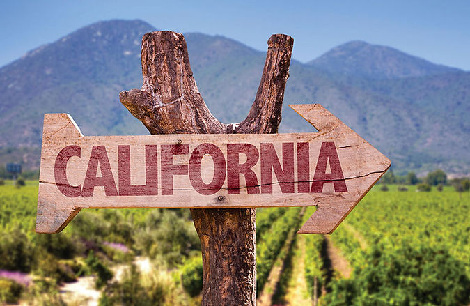 sign in a Vinyard that points to California mountains in the background