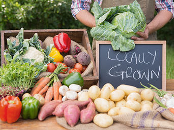 guy holding a cabbage and displaying potatoes, peppers, herbs and carrots for sale