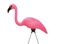 Pink Flamingos Forever