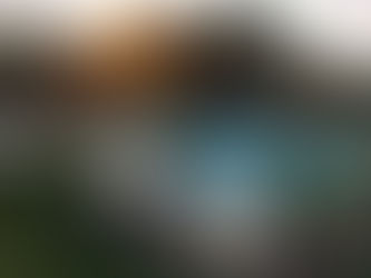 Medallion Pool Company