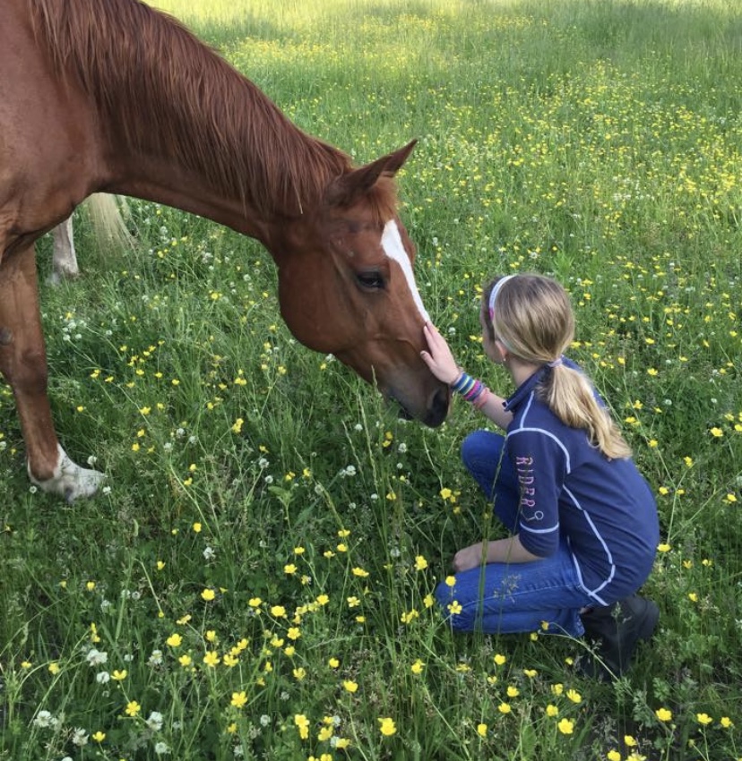 Little Springs Farm Home