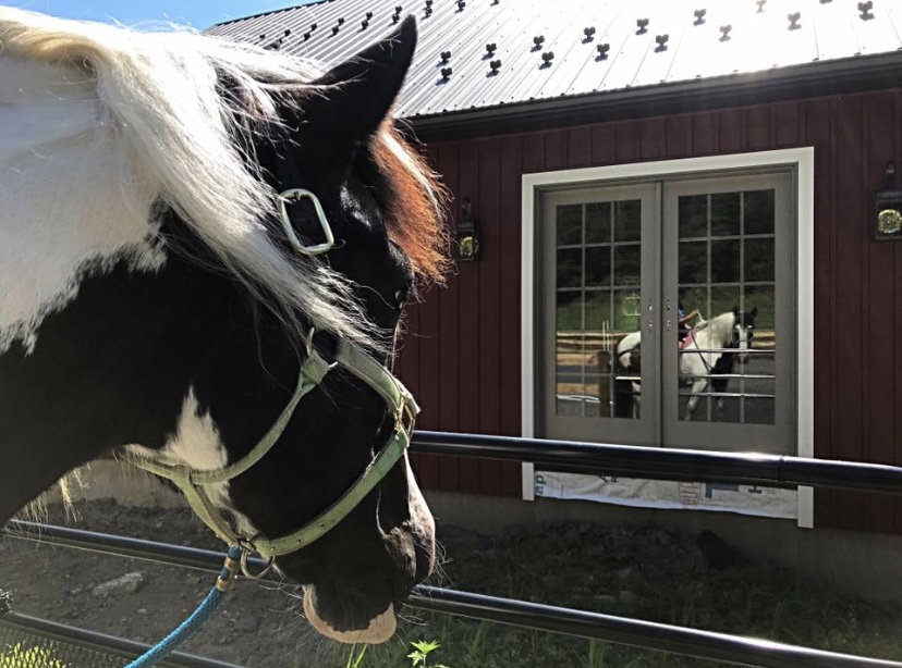 Little Springs Farm Home