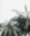 6c7adc_0838e99eefd04c9e9f0cbf37e88f9211~mv2.jpg