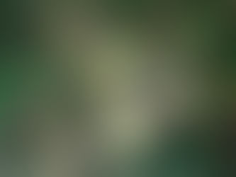 Used Samsung DDR4 RDIMM server memory modules available for sale, bulk enterprise RAM for data centers_server-parts.eu_refurbished_used